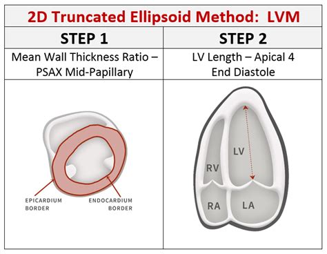 cs echo lv mass|what is Lv mass 2d.